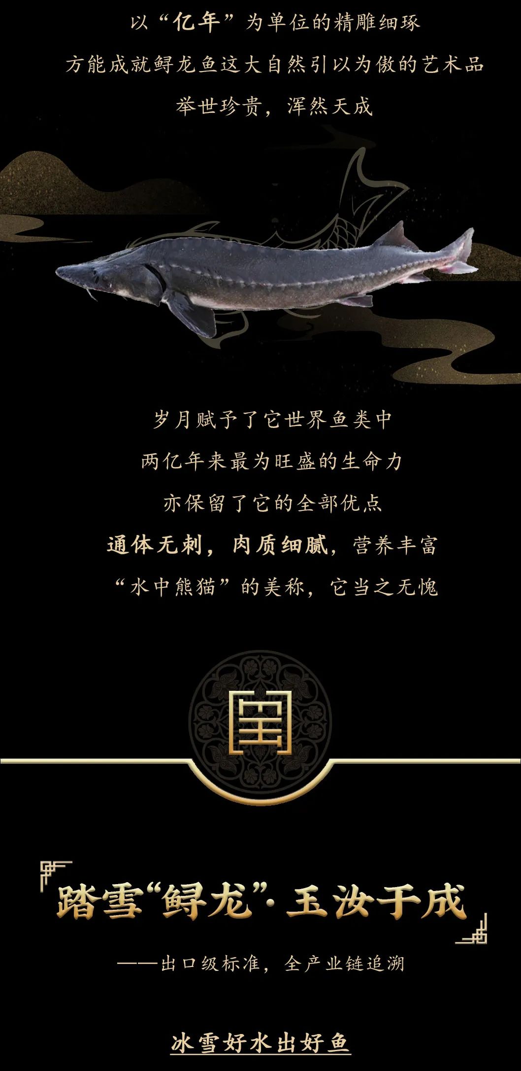 九州鱘龍魚(yú)片上新 | 自然臻藏，獻(xiàn)給吃魚(yú)有講究的人